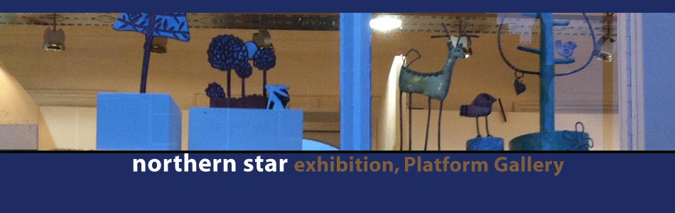 northern star exhibition 2015