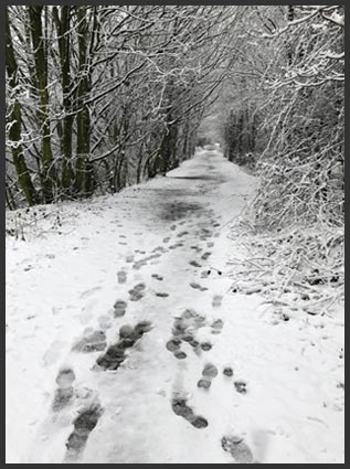 Lancashire snowscene